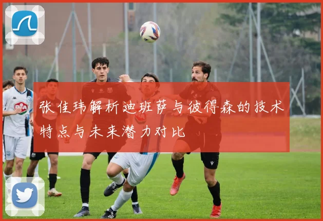 张佳玮解析迪班萨与彼得森的技术特点与未来潜力对比