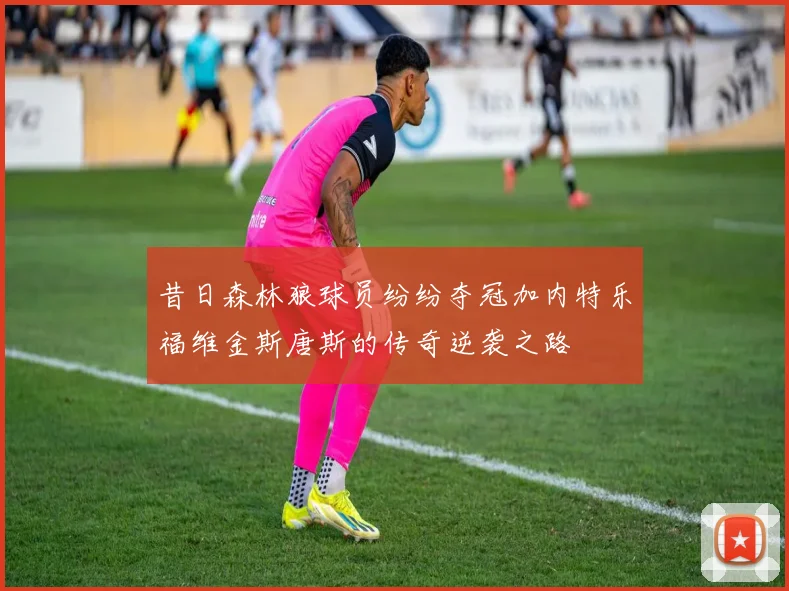 昔日森林狼球员纷纷夺冠加内特乐福维金斯唐斯的传奇逆袭之路